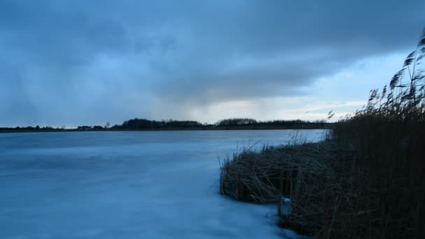 Vass Vid Stranden Frusen Sjö Och Ett Snömoln Polen Stankow Royaltyfri Stockvideo