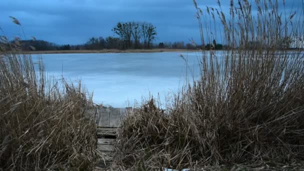 Vass Och Träpir Vid Stranden Frusen Sjö Polen Stankow Stockvideo