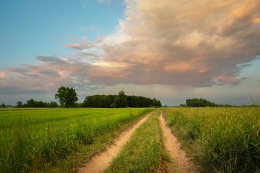 Tarlalar ve bulutlar arasında gün batımında vurgulanan köy yolu