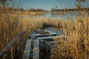 Gölün sazlıklarında küçük bir tekne