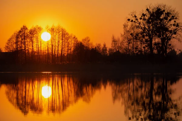Sunset Trees Reflecting Water Spring Evening — Stock Photo, Image