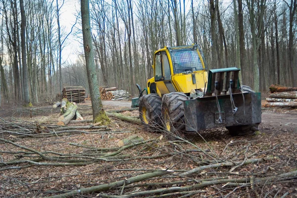 Starker Gelber Traktor Mit Seilwinde Steht Wald — Stockfoto