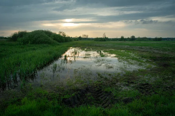 Regenwasser Auf Dem Feld Und Abendwolken Himmel Blick Auf Den — Stockfoto