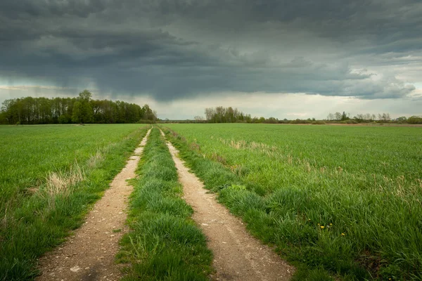 Yeşil tarlalar ve bulutlu bir gökyüzü, kırsal bahar manzarası arasında toprak bir yol..