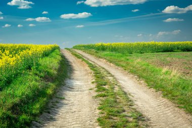 Kırsal yol ve tecavüz alanları, mavi gökyüzünde beyaz bulutlar