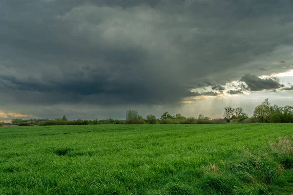 Nuvem de chuva escura sobre um campo verde — Fotografia de Stock