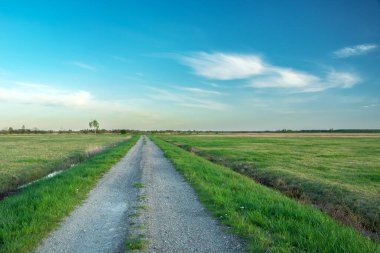 Yeşil çayırlar arasında boş ve düz bir çakıl yolu, ilkbahar günü.