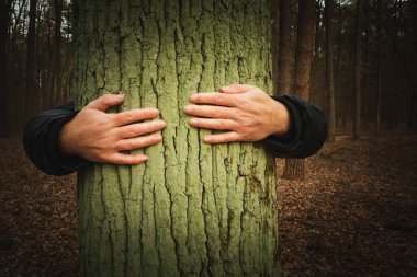 Ormanda bir ağacı kucaklayan adam, sonbahar manzarası