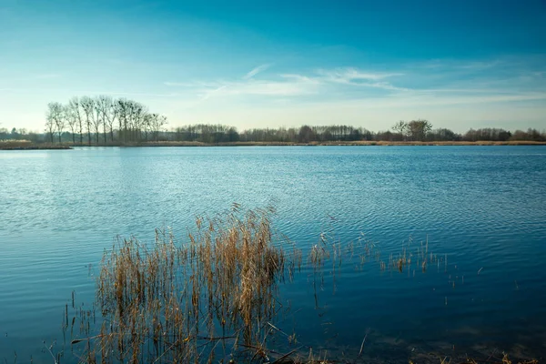 ポーランド東部の青い湖 — ストック写真