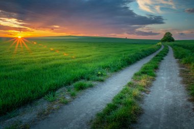 Harika bir akşam kırsal arazisi, gün batımından sonra tarlalar ve yol, Staw, Polonya
