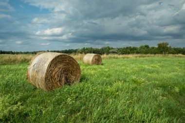 Çayırda saman balyası Bulutlu gökyüzü, kırsal manzara