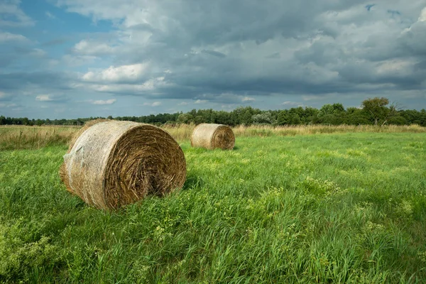 牧草地や曇りの空 田園風景の中に裸の藁 — ストック写真