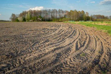 Traktör tekerlek izleri sabanla sürülmüş bir tarlada, bahar günü