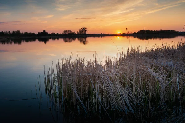 Reeds Lago Belo Pôr Sol Paisagem Primavera Stankow Polônia — Fotografia de Stock