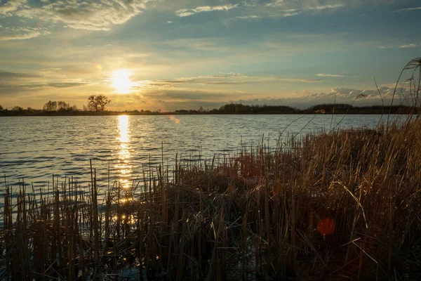Sazlıklarla dolu atmosferik bir gölde gün batımı, bahar akşamı.