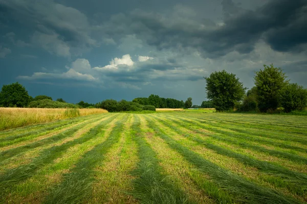 Cut Grass Meadow Cloudy Skies Summer Rural View — Stock Photo, Image