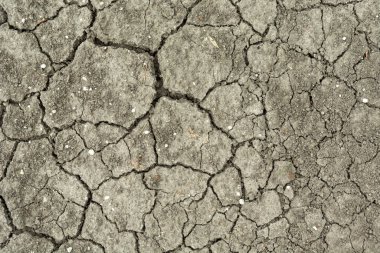Cracked dry gray soil, earth background