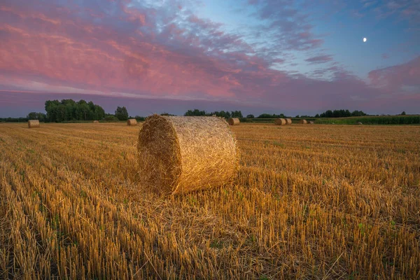 Colorful evening clouds and hay bales in the field, beautiful rural landscape