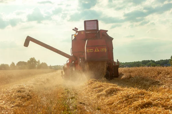 Field Grain Combine Mower Rising Dust Summer Rural View — Stok fotoğraf