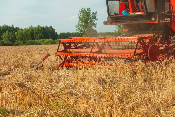 Field Grain Mowing Harvester Summer Rural View — Stok fotoğraf