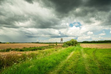 The path through a green meadow and clouds to the sky