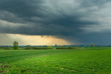 Storm cloud with rainfall over green fields, Czulczyce, Poland
