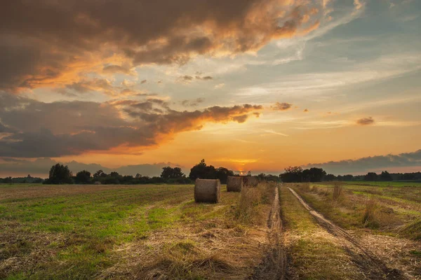 Beautiful Sunset View Unpaved Road Rural Field Summer Evening Nowiny — Stock Photo, Image