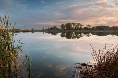 Evening beautiful sky over a calm lake with reeds
