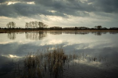 Gri bulutlar göl suyuna yansıyor, Stankow, Polonya