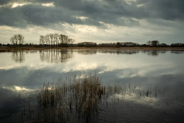Gri bulutlar göl suyuna yansıyor, Stankow, Polonya