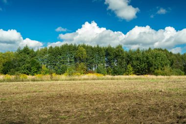 Bir ormanın önündeki tarlayı sürdüm ve gökyüzünde bulutlar, Eylül güneşli bir gün.