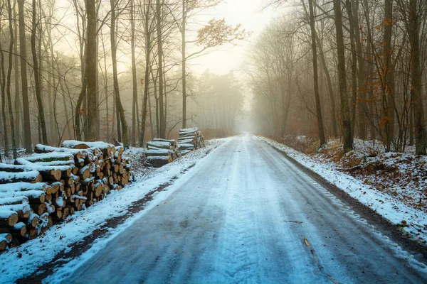 Doğu Polonya 'da sisli bir kış ormanı boyunca buzlu bir yol.