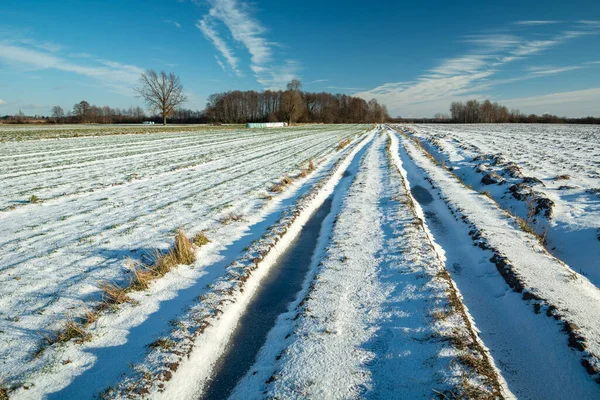 晴れた日 冬の風景の雪に覆われた道路や田園地帯 — ストック写真