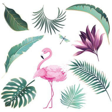 Tropikal kuşlar, yapraklar ve çiçekler, suluboya çizimler