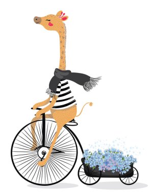 Bisiklete binen sevimli küçük zürafa, vektör çizimi