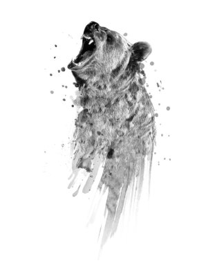 Bear illüstrasyon baskısı. Tişört grafikleri. Tasarım kartları, defter, dükkan, poster şablonu..