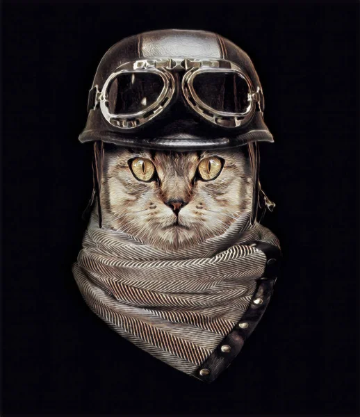 Retrato Gato Con Casco Vintage Ilustración Animal Diseño Impresión Personalizado —  Fotos de Stock