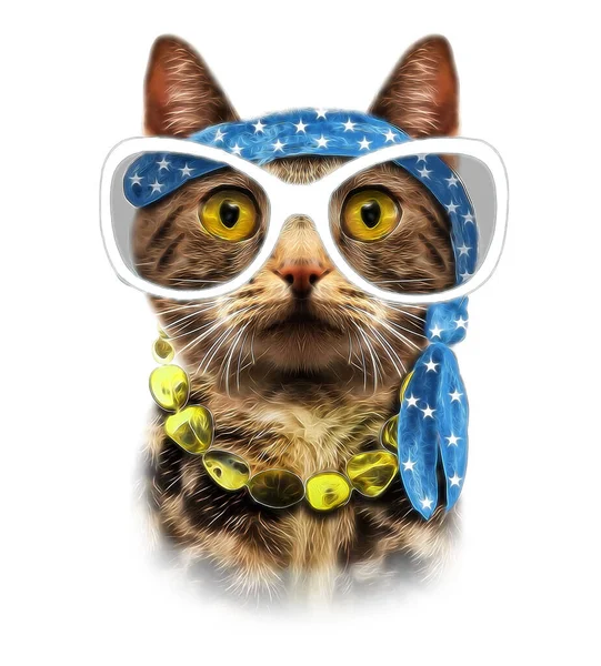 Katt Solglasögon Vit Bakgrund — Stockfoto