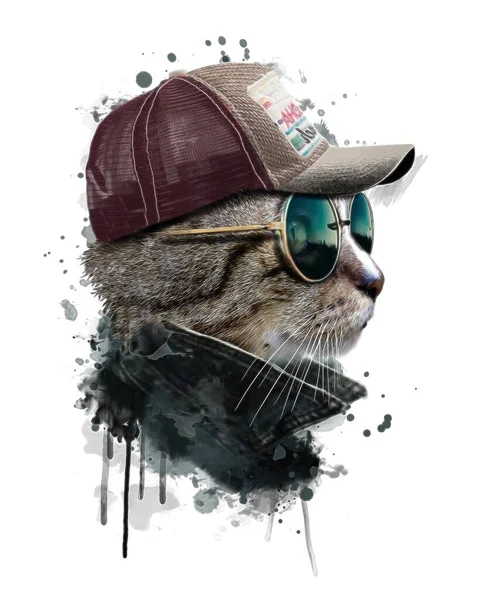 带着帽子和太阳镜的猫 水彩画 — 图库照片