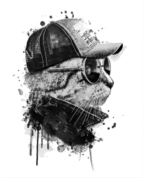 Chat Avec Casquette Lunettes Soleil Illustration Aquarelle — Photo