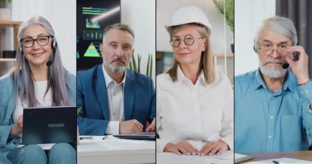 Multi screen montage portraits of attractive confident successful senior people of different occupations which posing on camera indoors — Stock Video
