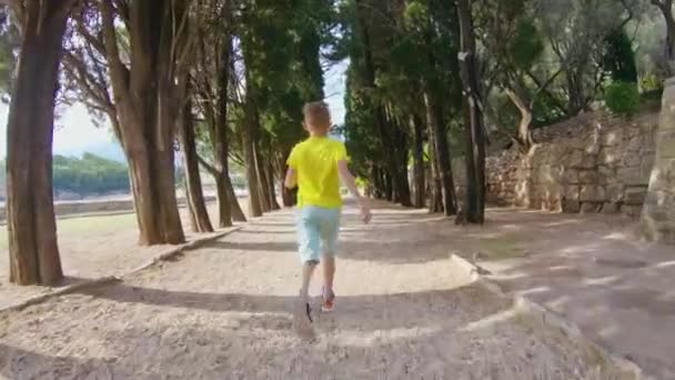 日落时，在美丽的公园里，一个7-8岁的跑步男孩在海边的松树旁，他的背影。生活方式。室外 — 图库视频影像