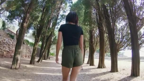 夕日の松に沿って緑の路地を歩いて若い魅力的な女性のバックビュー. — ストック動画