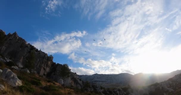 View of high flying of four seagulls flying gliding slowly and majestic on the sky over high rock mountains. Nature, wildlife concept — Stock Video