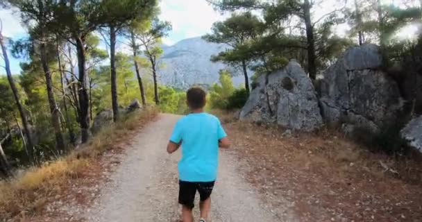 Back view of blonde sport boy running on path in green by rocks park with blue sky and bright sunshine at summer morning. — Vídeo de stock