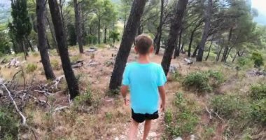 Adorable young boy in t-shirt and shorts walking along path in pine forest at summertime. Back view. Concept of healthy and active lifestyle