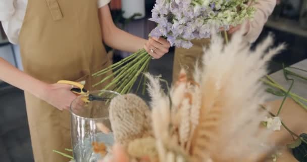Κοντινό Πλάνο Της Γυναίκας Που Οργανώνει Λουλούδια Και Κοτσάνια Ψαλίδια — Αρχείο Βίντεο