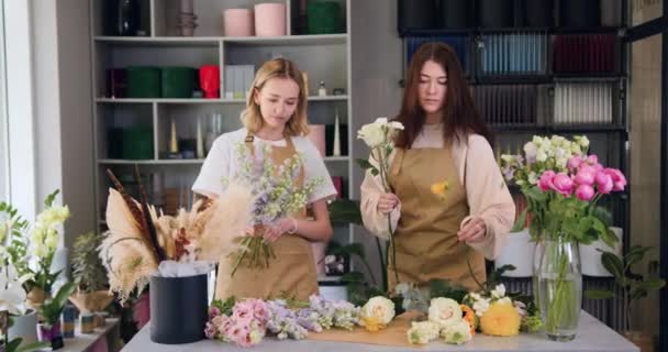 Two Professional Florist Entrepreneur Take Care Beautiful Flowers Collect Bouquet — Stockvideo