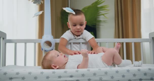 小さな笑顔の子供たちが一緒にベッドの上に座って演奏 兄は手を握り ベビーベッドに横たわっている新生児を愛撫する スローモーション — ストック動画