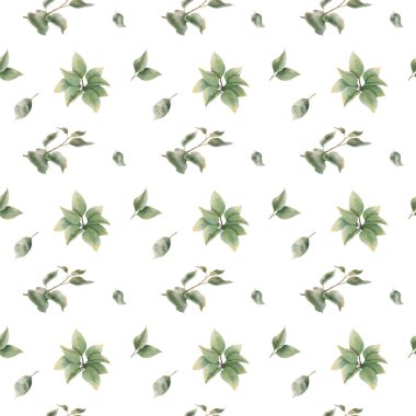 Limon yaprağı dikişsiz desen. Yapraklar, limon dalları. Kusursuz desen baskı, kumaş, ambalaj kağıdı, çubuk ve menü dekorasyonu için uygundur.